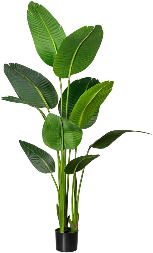 Kunstplant Strelitzia 150 cm -Easyplants Kunstplanten