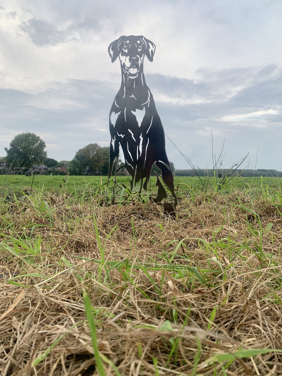 Metalen hond- Dobermann - Tuinprikker - Tuindecoratie