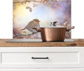Spatscherm keuken 60x40 cm - Kookplaat achterwand Vogel - Tak - Bladeren - Abstract - Muurbeschermer - Spatwand fornuis - Hoogwaardig aluminium