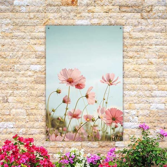 Poster van staande roze cosmosbloemen met een lichte blauwe lucht.