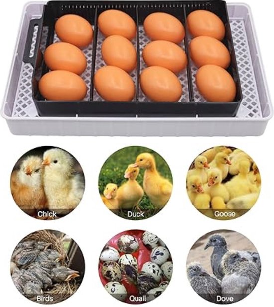 Wonegg M16 Automatische Broedmachine