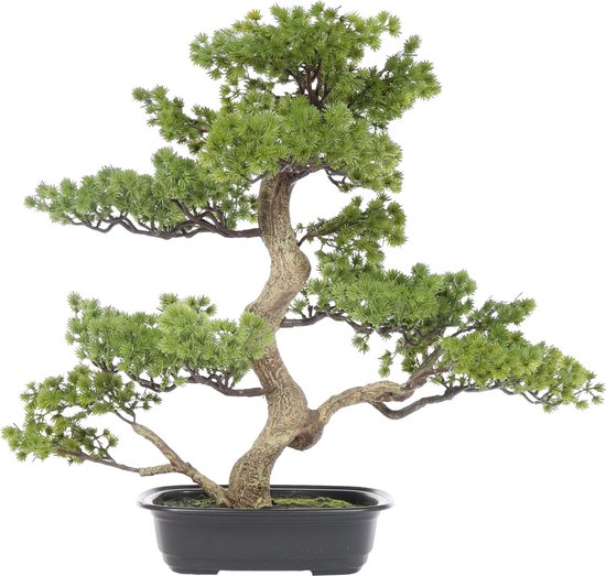 Kunst Bonsaiboom Kamamota Groot | 65cm - Namaak bonsaiboom kamamota - Kunstplanten voor binnen - Kunstplant bonsaiboom Kamamota