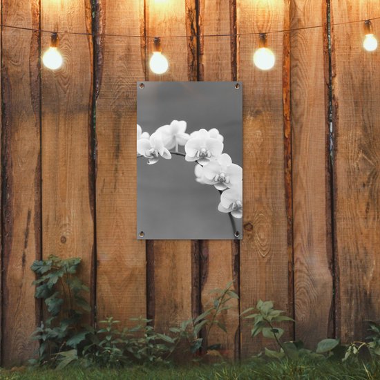 Décoration de jardin Orchidée - Fleurs - Plante - Wit - Violet - 40x60 cm - Poster jardin - Toile jardin - Poster extérieur