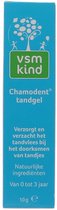 VSM Chamodent tandgel- 2 x 10 gram voordeelverpakking