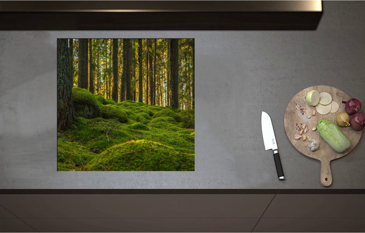 Inductieplaat Beschermer - Bomen in Bos bij Groen Begroeide Ondergrond - 57x55 cm - 2 mm Dik - Inductie Beschermer - Bescherming Inductiekookplaat - Kookplaat Beschermer van Wit Vinyl