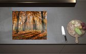 Inductieplaat Beschermer - Bos in de Herfst met Zonnestralen door de Bomen - 60x51 cm - 2 mm Dik - Inductie Beschermer - Bescherming Inductiekookplaat - Kookplaat Beschermer van Zwart Vinyl