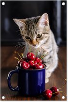 Tuindecoratie Kat - Mok - Kers - 40x60 cm - Tuinposter - Tuindoek - Buitenposter