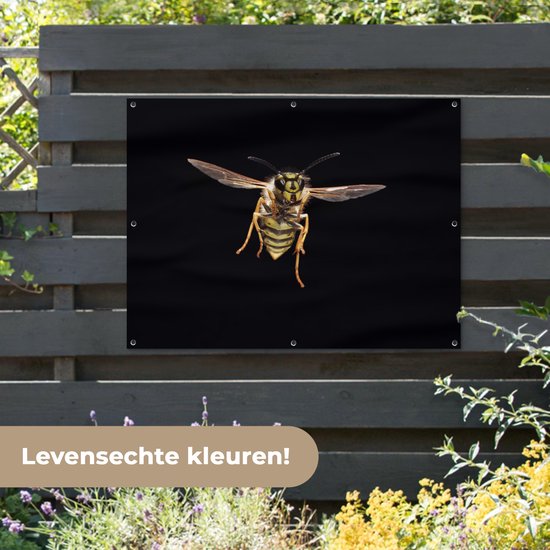Affiche de jardin Guêpe - Insectes - Portrait - 120x90 cm