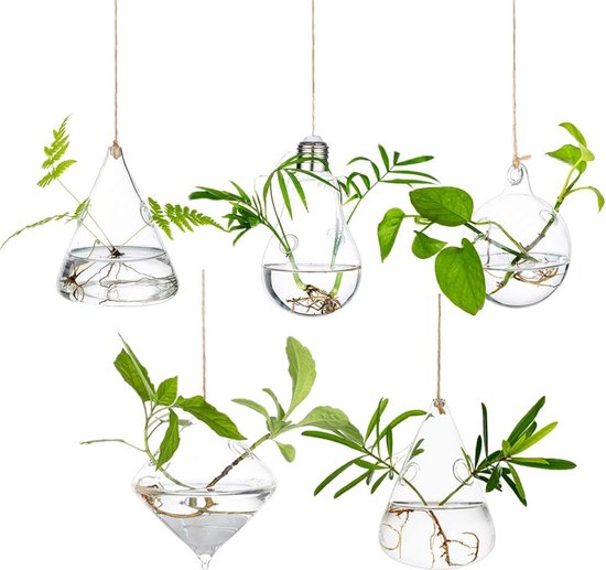 Oairse Set van 2 bonsaipotten ondiepe vetplanten voor levende bonsaibomen, 22 cm/8,7 inch keramische plantenpot voor vetplanten binnen en buiten met drainagegat, cactusplantenpot, blauwe bloempot