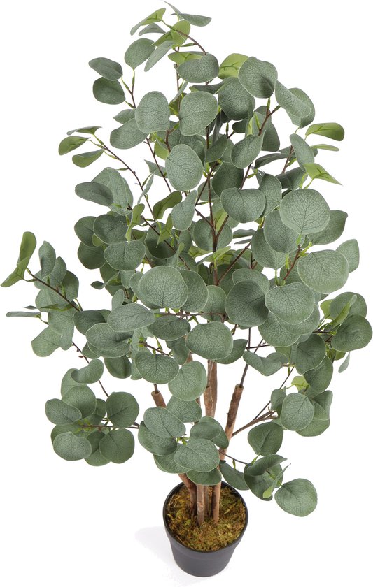 Art Eucalyptus Koala | 120cm - Faux eucalyptus - Plantes artificielles pour l'intérieur - Plante d'eucalyptus artificielle