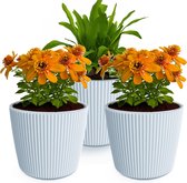 Prosperplast Plantenpot/bloempot Buckingham - 3x - buiten/binnen - lichtgrijs - D14 x H13 cm
