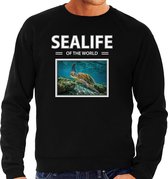 Dieren foto sweater Zeeschildpad - zwart - heren - sealife of the world - cadeau trui Schildpadden liefhebber L
