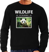 Dieren foto sweater Panda - zwart - heren - wildlife of the world - cadeau trui Pandas liefhebber 2XL