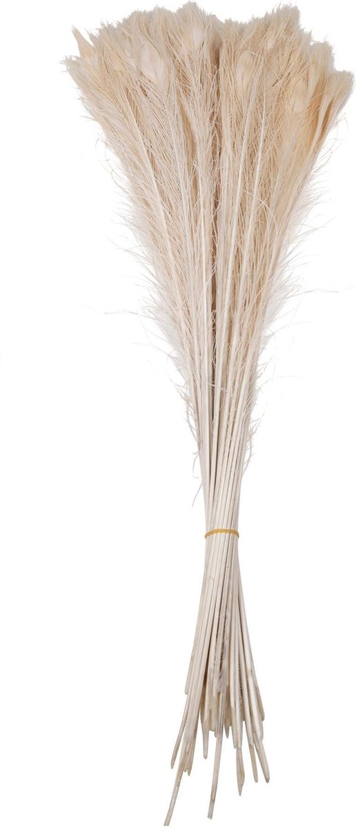 Gedroogde Witte Pauwenveren (per stuk)