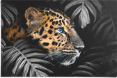 Poster Luipaard In de jungle