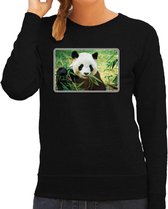 Dieren sweater met pandaberen foto - zwart - voor dames - natuur / panda cadeau trui - kleding / sweat shirt 2XL
