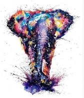 Painting Expert® Schilderen op nummer Volwassenen – Schilderen op nummer Kinderen - Olifant - 60x75cm - Exclusief Lijst (36 kleurtjes)