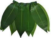 ESPA - Hawaiiaanse bladeren rok voor kinderen - Accessoires > Rokken, Tutu's