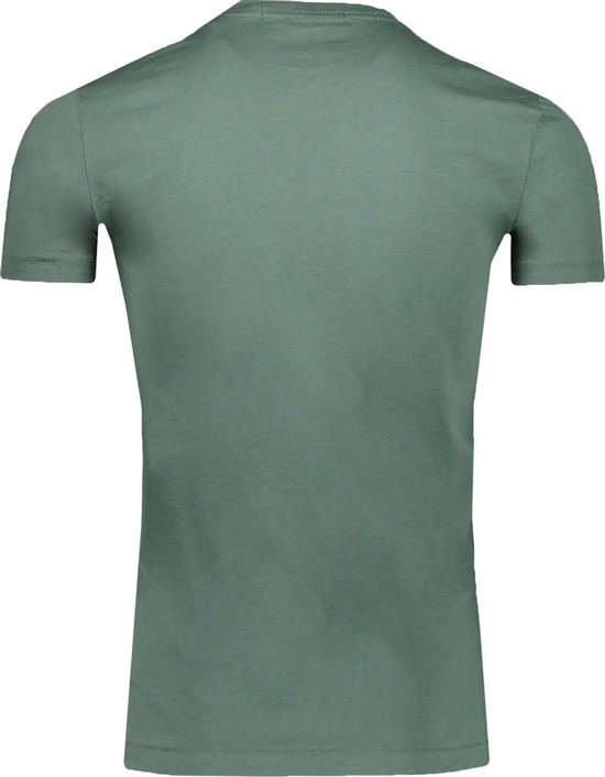 Calvin Klein T-shirt Groen Getailleerd - Maat L - Heren - Lente/Zomer  Collectie - Katoen | bol.com