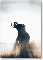 Olifant in Rijstveld - 50x70 Poster Staand - Dieren