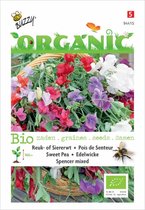 Buzzy® Organic Lathyrus Spencer gemengd (BIO)