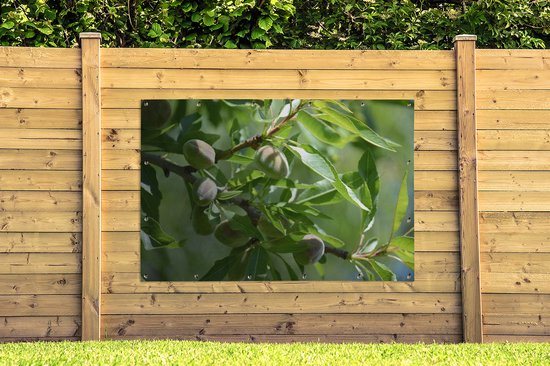 Affiche de jardin noix d'amande toile en vrac 160x120 cm - Toile de jardin / Toile d'extérieur / Peintures d'extérieur (décoration de jardin) XXL / Groot format!