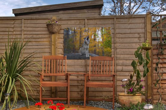Tuinposter 60x40 cm - Tuindecoratie Wolf - Steen - Bos - Herfst - Poster voor in de tuin - Buiten decoratie - Schutting tuinschilderij - Tuindoek muurdecoratie - Wanddecoratie balkondoek