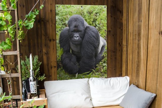 Un Gorilla promène dans les feuilles vertes Affiche de jardin 80x120 cm - Toile de jardin / Toile d'extérieur / Peintures pour l'extérieur (décoration de jardin)