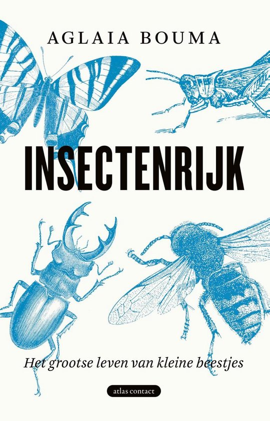 Insectenrijk - cover