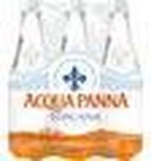 Mineraalwater Panna 0,5l/ds24