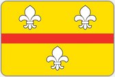 Vlag Loenen - 200 x 300 cm - Polyester