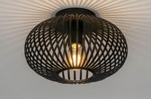 Lumidora Plafondlamp 73295 - E27 - Zwart - Metaal - ⌀ 30 cm