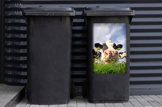 Autocollant de conteneur Vaches - Vache curieuse - 40x60 cm - Autocollant  de poubelle... | bol.com