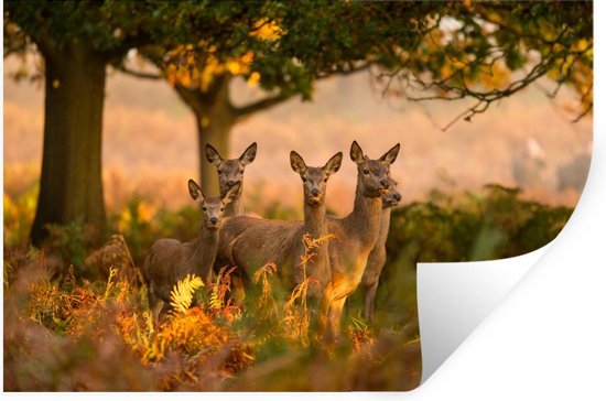 Tanlaby Grote berkenboom muurstickers bosdieren muurstickers bos bruine