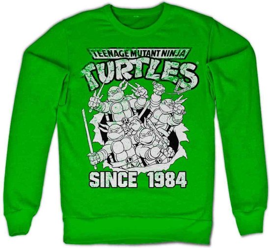 Teenage Mutant Ninja Turtles Sweater/trui -XL- Distressed Since 1984 Groen