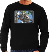 Dieren sweater met koalaberen foto - zwart - voor heren - Australische dieren/ koala cadeau trui - kleding / sweat shirt M