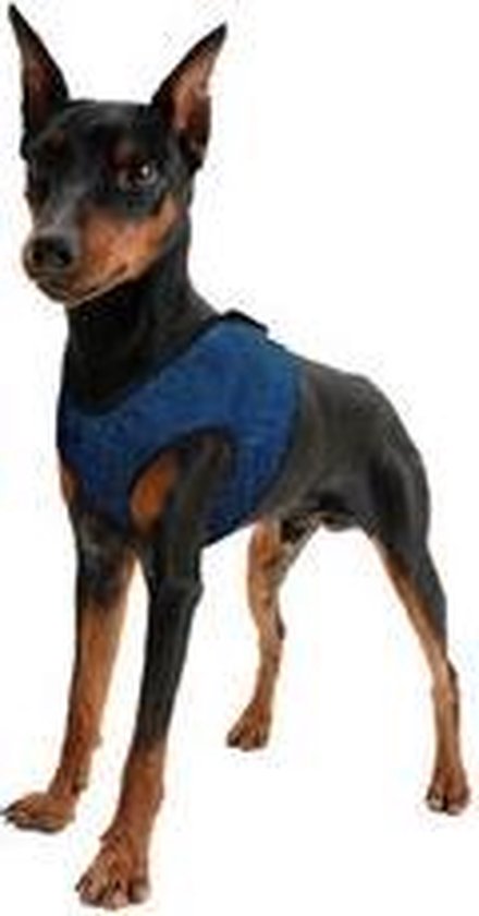 Aqua Coolkeeper Comfy Harness - XS - Pacific Blue