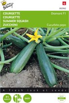 Buzzy - Courgette Diamant F1 (Cucurbita pepo)