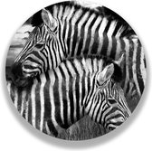 Wandcirkel Twee Zebra's
