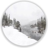 Wandcirkel Snowy Forest