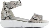 Waldlaufer Vrouwen Leren Python Sandalen / Damesschoenen 757802 - Taupe - Maat 40