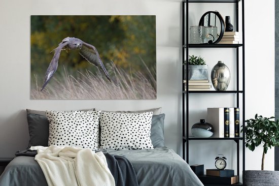 Une buse volant à basse altitude au-dessus des herbes colorées d'automne Toile 140x90 cm - Tirage photo sur toile (Décoration murale salon / chambre)