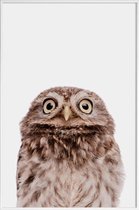 JUNIQE - Poster in kunststof lijst Owl -30x45 /Bruin