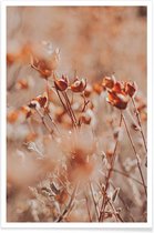 JUNIQE - Poster Autumnal Flowers -20x30 /Oranje & Roze