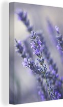 Canvas Schilderij Close-up van een lavendelbloem tegen een vervaagde achtergrond - 60x90 cm - Wanddecoratie
