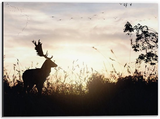 Dibond - Silhouette van Hertje in de Natuur - 40x30cm Foto op Aluminium (Met Ophangsysteem)