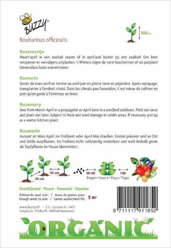 Buzzy® Organic Rozemarijn (BIO) - Buzzy Seeds