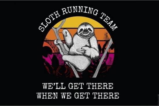 Poster - Sloth Running Team - 61 X 91.5 Cm - Multicolor