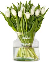 Witte tulpen - 100 stuks