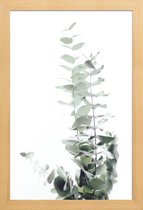 JUNIQE - Poster in houten lijst Eucalyptus foto -40x60 /Groen & Wit